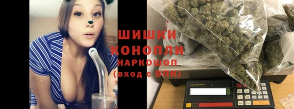 мдпв Вязьма