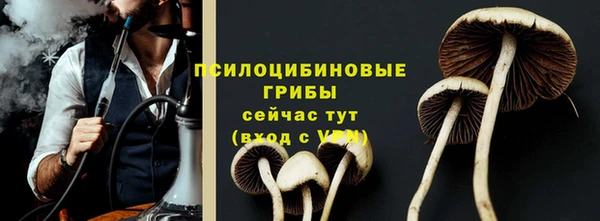 мдпв Вязьма
