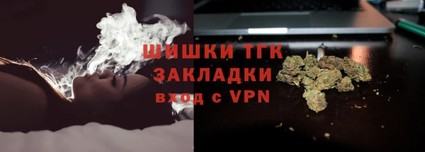 мдпв Вязьма