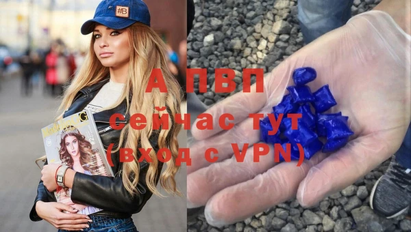 мдпв Вязьма