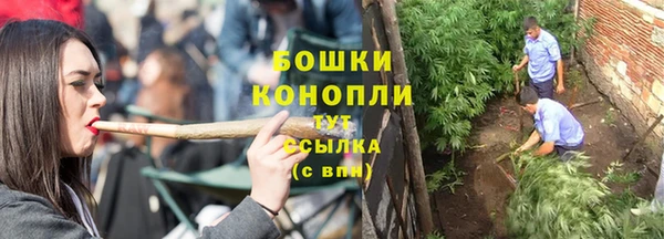 мдпв Вязьма